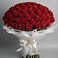 Букет 101 Красная роза Блэк Мэджик в Приупский