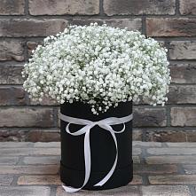 Цветочная композиция из Гипсофила в шляпной коробке в Приупский