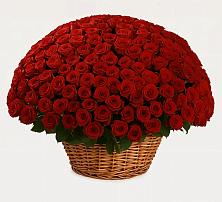 Премиум букет из: Розы в Приупский